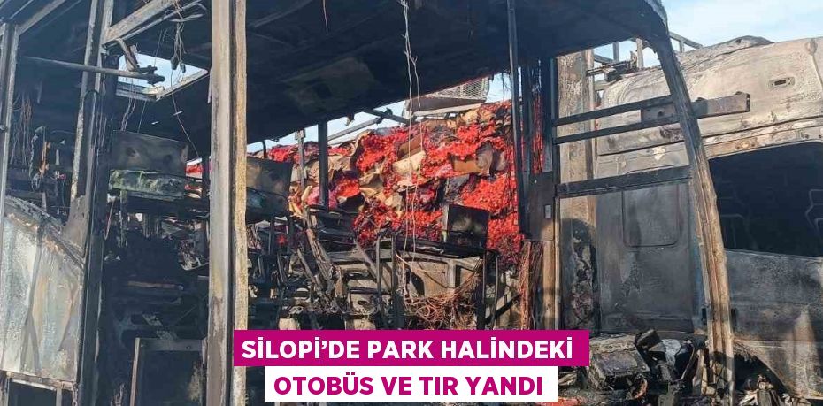 SİLOPİ’DE PARK HALİNDEKİ OTOBÜS VE TIR YANDI