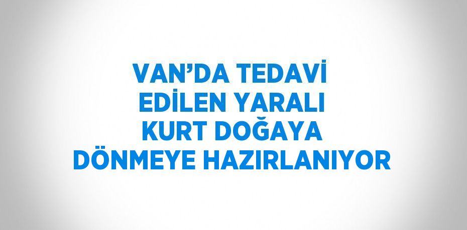 VAN’DA TEDAVİ EDİLEN YARALI KURT DOĞAYA DÖNMEYE HAZIRLANIYOR