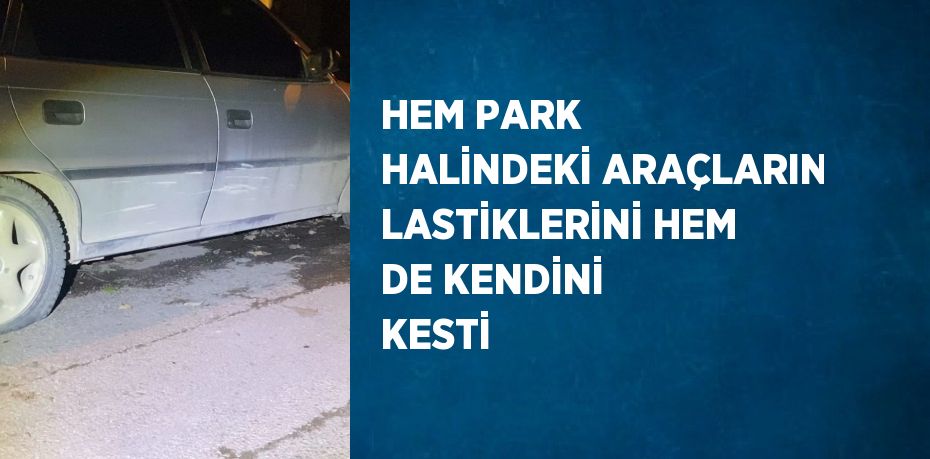 HEM PARK HALİNDEKİ ARAÇLARIN LASTİKLERİNİ HEM DE KENDİNİ KESTİ