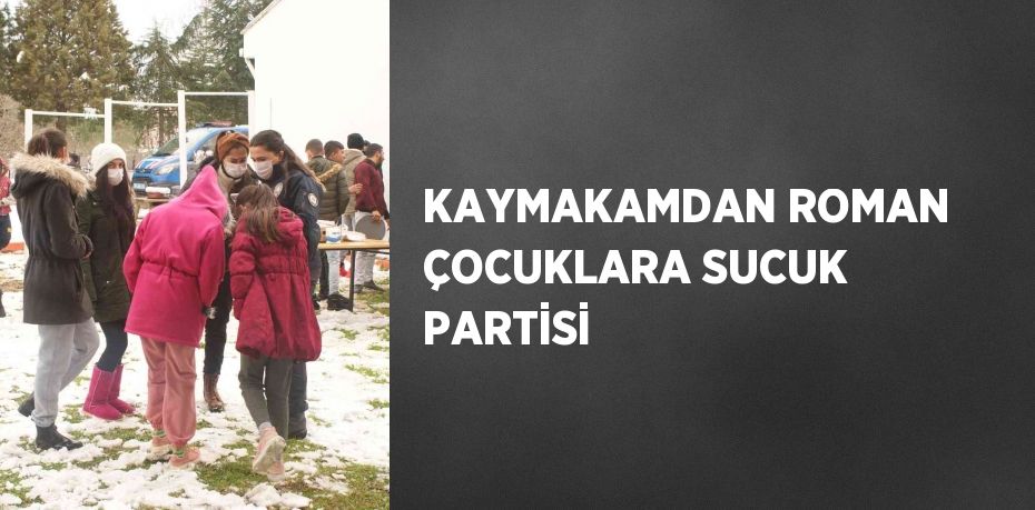 KAYMAKAMDAN ROMAN ÇOCUKLARA SUCUK PARTİSİ