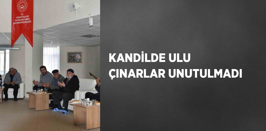 KANDİLDE ULU ÇINARLAR UNUTULMADI