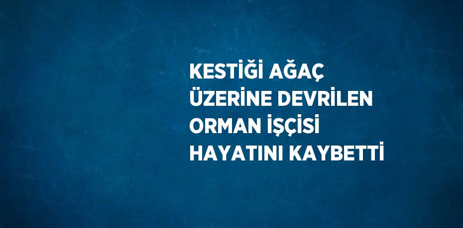 KESTİĞİ AĞAÇ ÜZERİNE DEVRİLEN ORMAN İŞÇİSİ HAYATINI KAYBETTİ