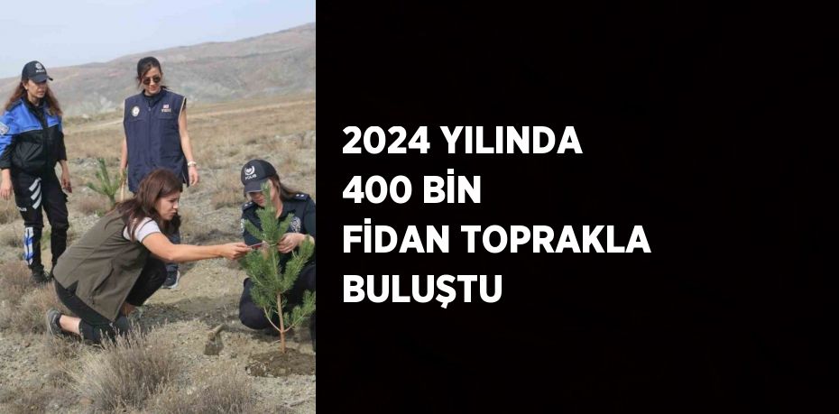 2024 YILINDA 400 BİN FİDAN TOPRAKLA BULUŞTU