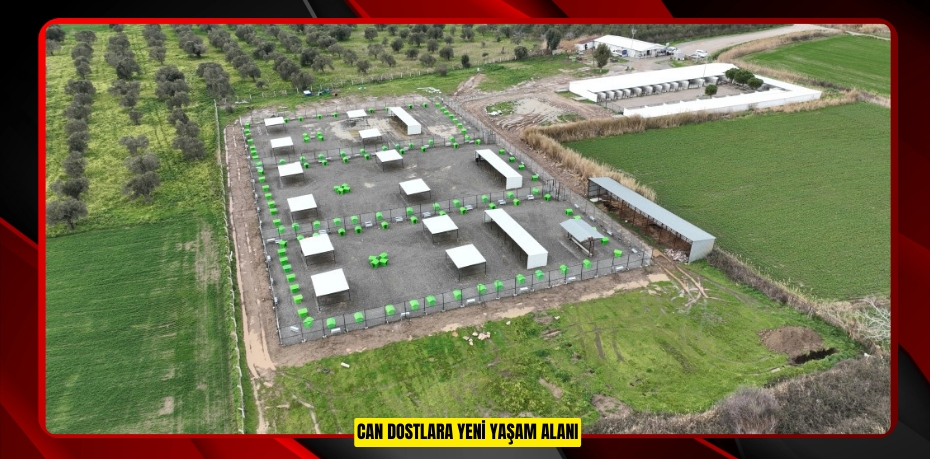CAN DOSTLARA YENİ YAŞAM ALANI