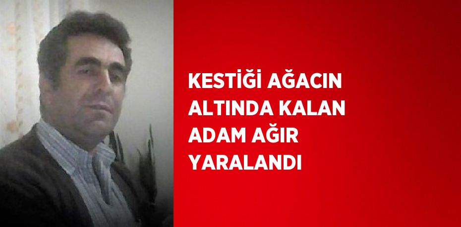 KESTİĞİ AĞACIN ALTINDA KALAN ADAM AĞIR YARALANDI