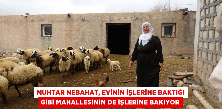 Muhtar Nebahat, evinin işlerine baktığı gibi mahallesinin de işlerine bakıyor