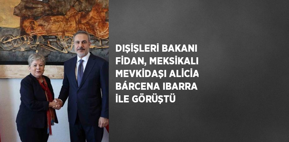 DIŞİŞLERİ BAKANI FİDAN, MEKSİKALI MEVKİDAŞI ALİCİA BÁRCENA IBARRA İLE GÖRÜŞTÜ