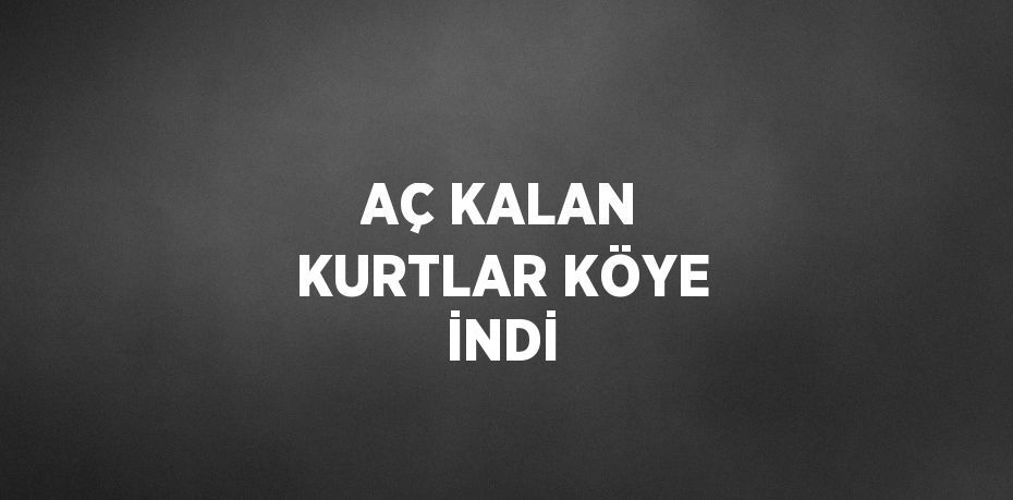 AÇ KALAN KURTLAR KÖYE İNDİ