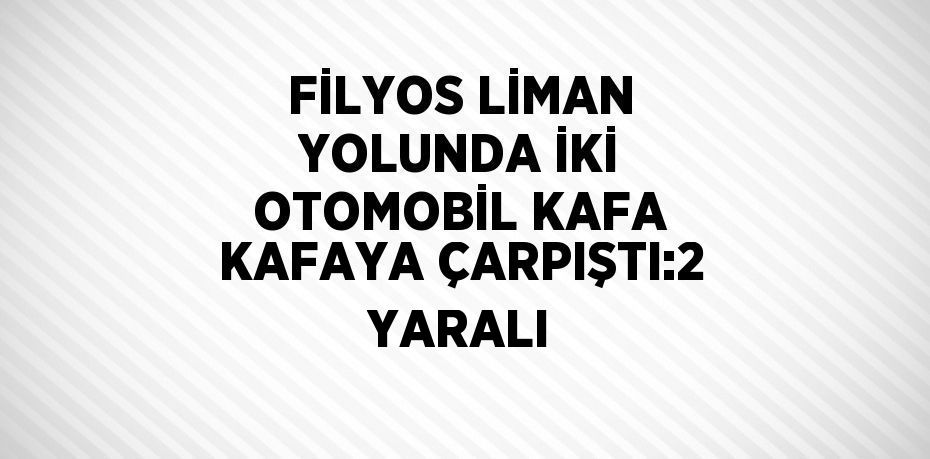 FİLYOS LİMAN YOLUNDA İKİ OTOMOBİL KAFA KAFAYA ÇARPIŞTI:2 YARALI