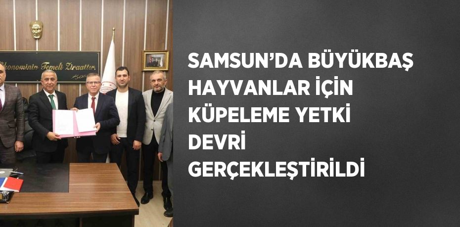 SAMSUN’DA BÜYÜKBAŞ HAYVANLAR İÇİN KÜPELEME YETKİ DEVRİ GERÇEKLEŞTİRİLDİ