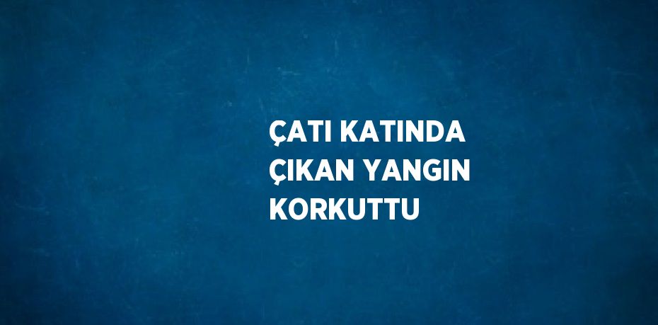 ÇATI KATINDA ÇIKAN YANGIN KORKUTTU