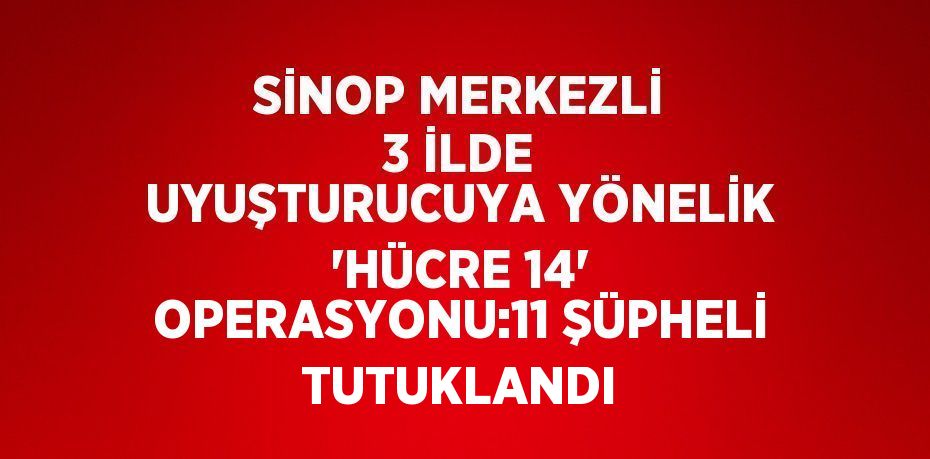 SİNOP MERKEZLİ 3 İLDE UYUŞTURUCUYA YÖNELİK 'HÜCRE 14' OPERASYONU:11 ŞÜPHELİ TUTUKLANDI