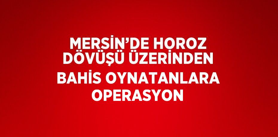 MERSİN’DE HOROZ DÖVÜŞÜ ÜZERİNDEN BAHİS OYNATANLARA OPERASYON