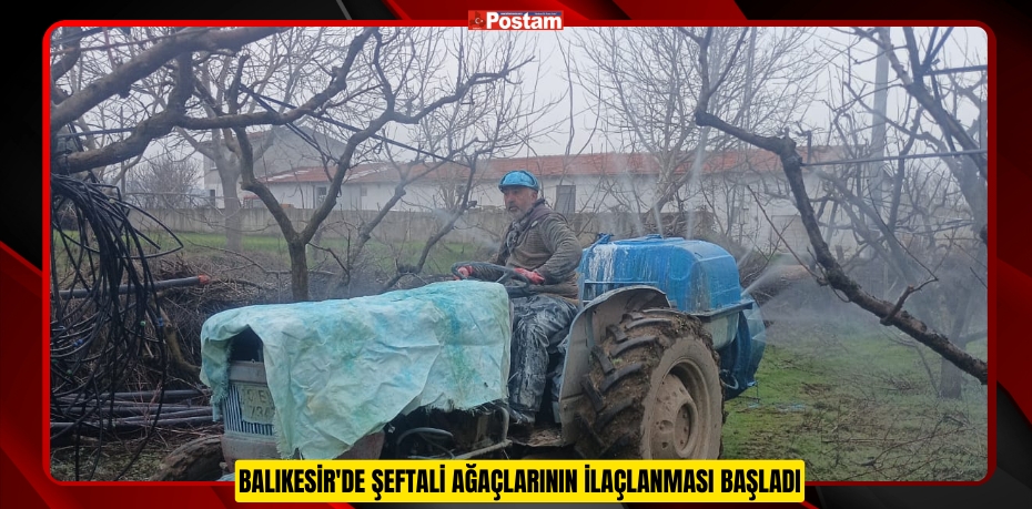 Balıkesir'de şeftali ağaçlarının ilaçlanması başladı  