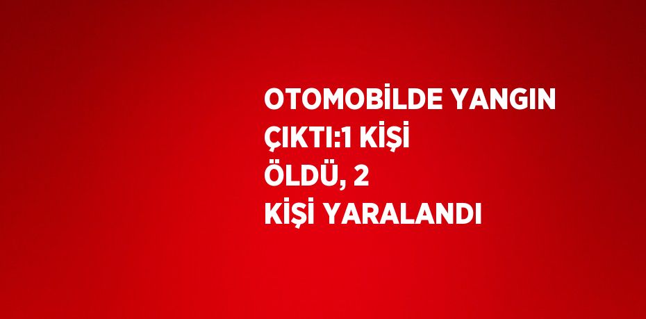 OTOMOBİLDE YANGIN ÇIKTI:1 KİŞİ ÖLDÜ, 2 KİŞİ YARALANDI