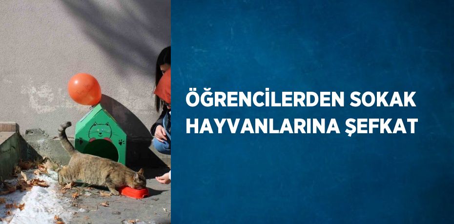 ÖĞRENCİLERDEN SOKAK HAYVANLARINA ŞEFKAT