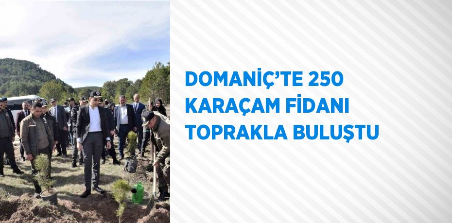 DOMANİÇ’TE 250 KARAÇAM FİDANI TOPRAKLA BULUŞTU