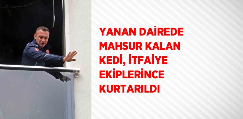 YANAN DAİREDE MAHSUR KALAN KEDİ, İTFAİYE EKİPLERİNCE KURTARILDI