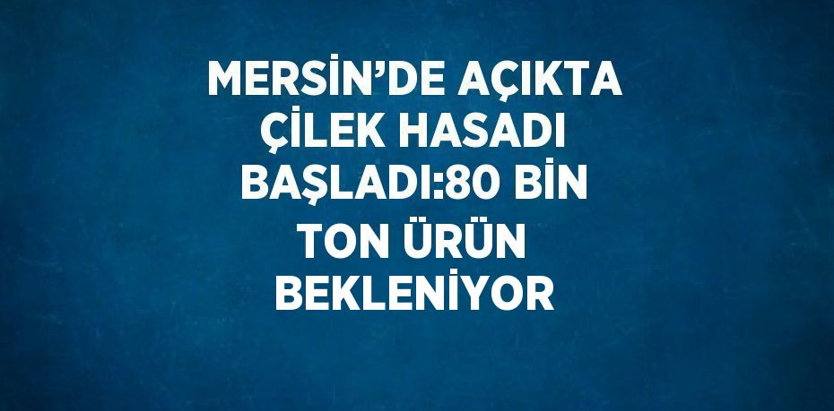 MERSİN’DE AÇIKTA ÇİLEK HASADI BAŞLADI:80 BİN TON ÜRÜN BEKLENİYOR