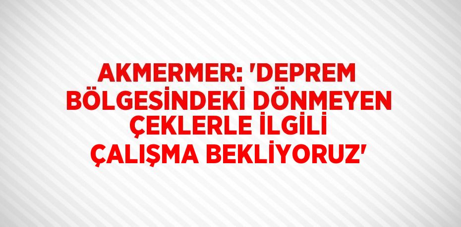 AKMERMER: 'DEPREM BÖLGESİNDEKİ DÖNMEYEN ÇEKLERLE İLGİLİ ÇALIŞMA BEKLİYORUZ'