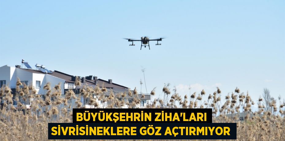 Büyükşehrin ZİHA’ları sivrisineklere göz açtırmıyor