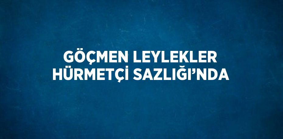 GÖÇMEN LEYLEKLER HÜRMETÇİ SAZLIĞI’NDA