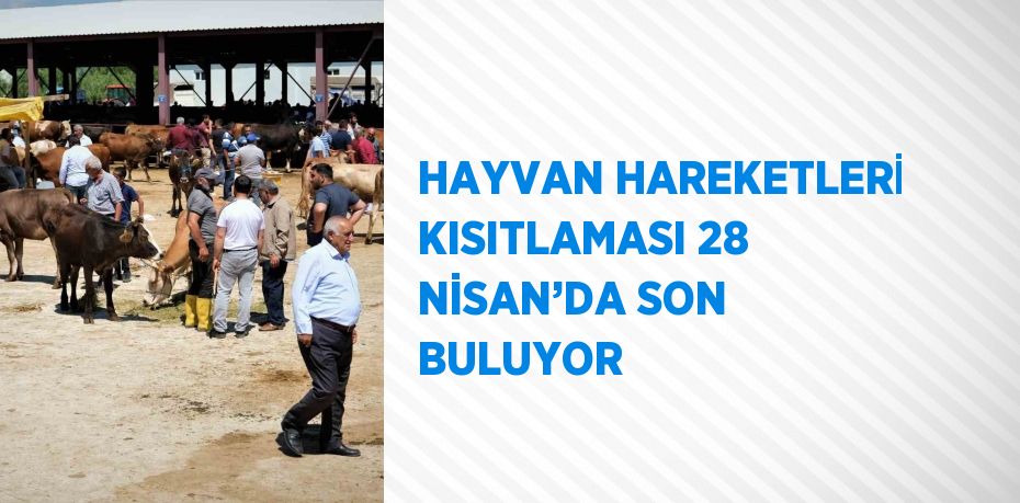 HAYVAN HAREKETLERİ KISITLAMASI 28 NİSAN’DA SON BULUYOR