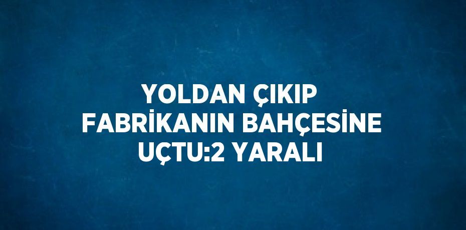 YOLDAN ÇIKIP FABRİKANIN BAHÇESİNE UÇTU:2 YARALI