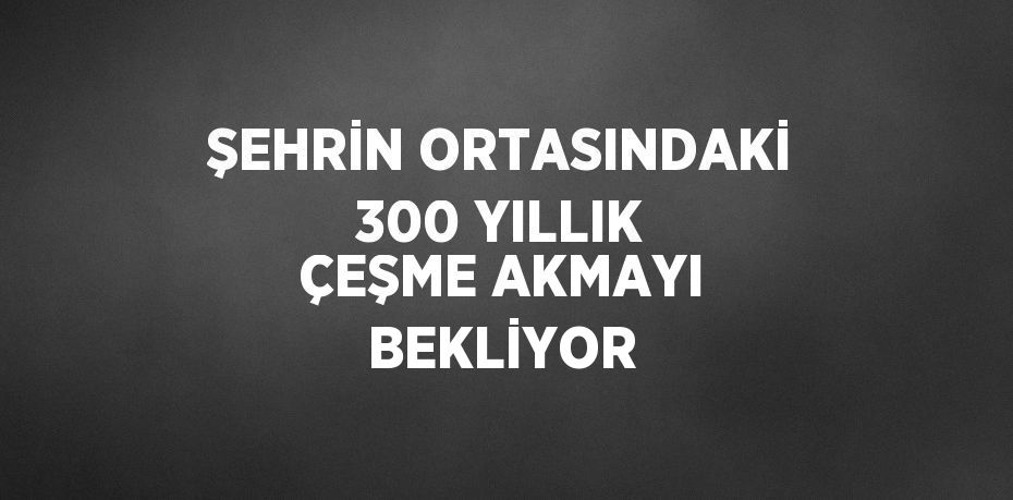 ŞEHRİN ORTASINDAKİ 300 YILLIK ÇEŞME AKMAYI BEKLİYOR