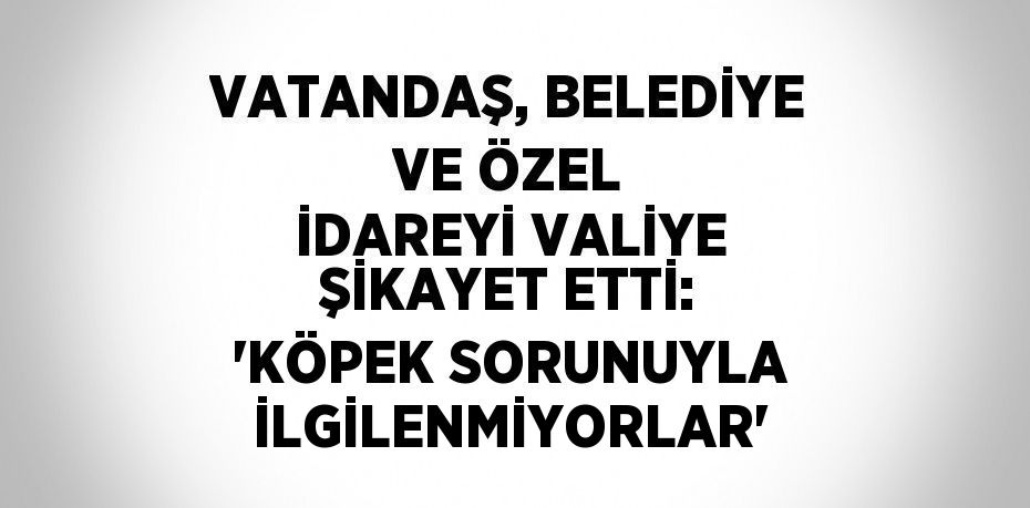 VATANDAŞ, BELEDİYE VE ÖZEL İDAREYİ VALİYE ŞİKAYET ETTİ: 'KÖPEK SORUNUYLA İLGİLENMİYORLAR'