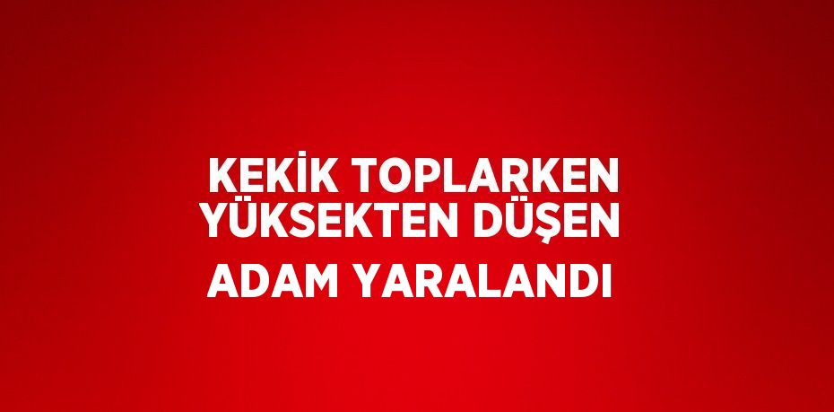 KEKİK TOPLARKEN YÜKSEKTEN DÜŞEN ADAM YARALANDI