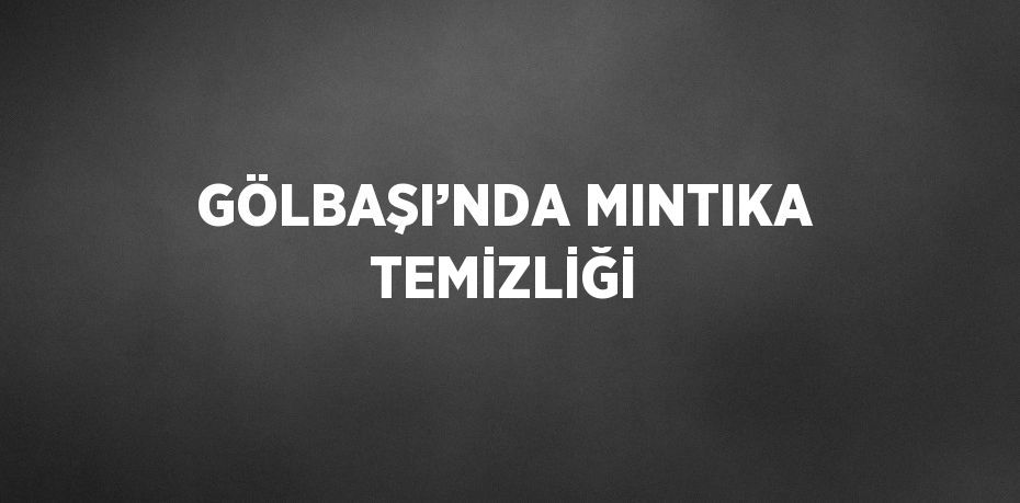 GÖLBAŞI’NDA MINTIKA TEMİZLİĞİ