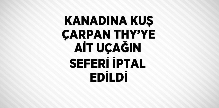 KANADINA KUŞ ÇARPAN THY’YE AİT UÇAĞIN SEFERİ İPTAL EDİLDİ