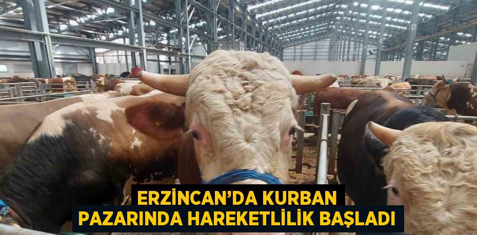 ERZİNCAN’DA KURBAN PAZARINDA HAREKETLİLİK BAŞLADI