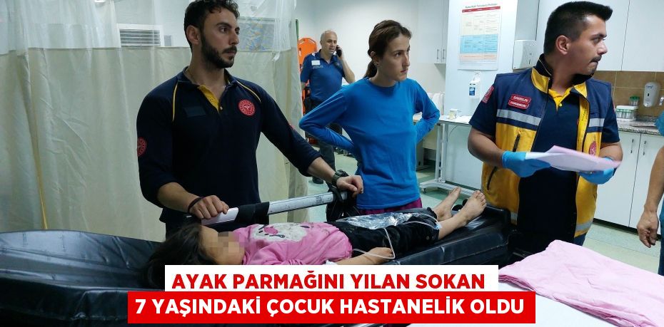 Ayak parmağını yılan sokan 7 yaşındaki çocuk hastanelik oldu