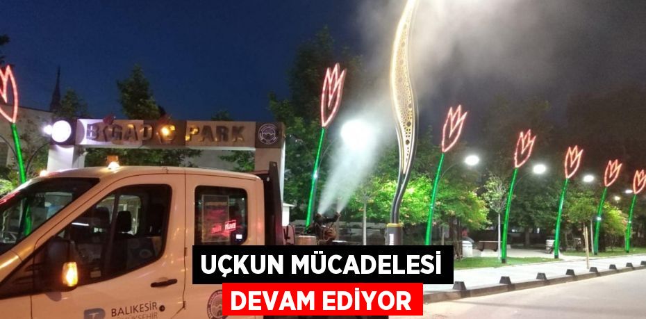 Uçkun mücadelesi devam ediyor