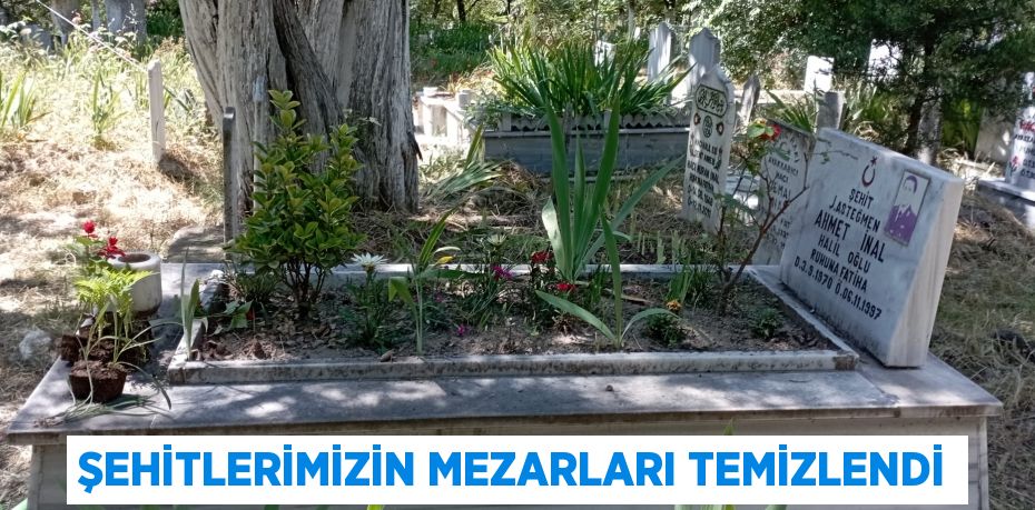 Şehitlerimizin Mezarları Temizlendi