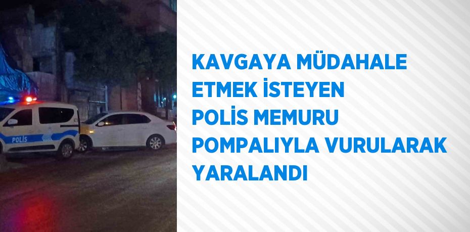 KAVGAYA MÜDAHALE ETMEK İSTEYEN POLİS MEMURU POMPALIYLA VURULARAK YARALANDI