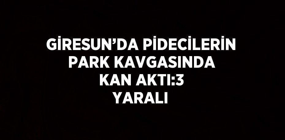 GİRESUN’DA PİDECİLERİN PARK KAVGASINDA KAN AKTI:3 YARALI