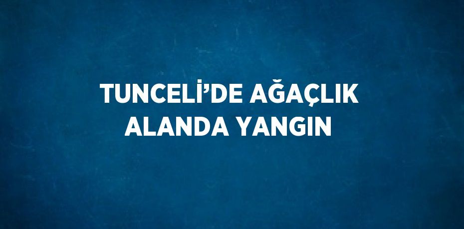 TUNCELİ’DE AĞAÇLIK ALANDA YANGIN