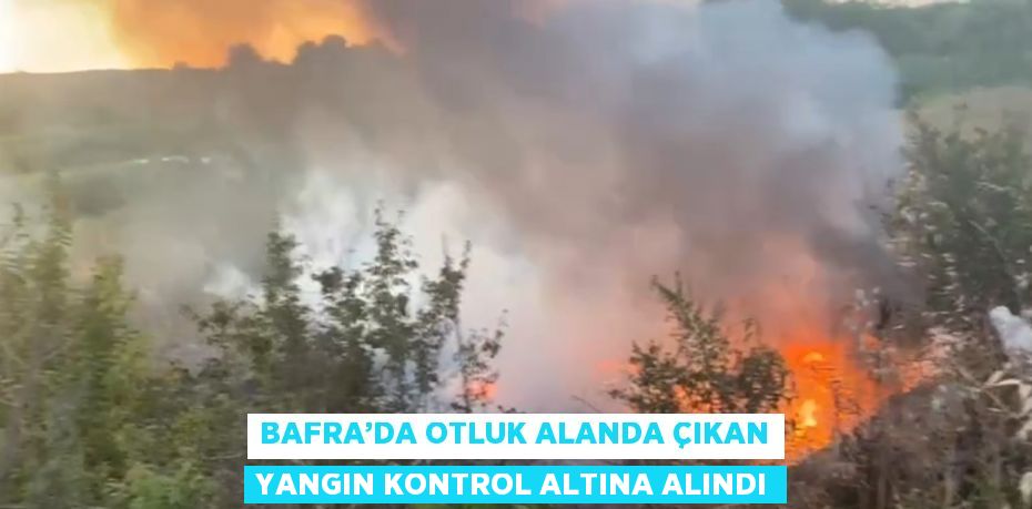 BAFRA’DA OTLUK ALANDA ÇIKAN YANGIN KONTROL ALTINA ALINDI