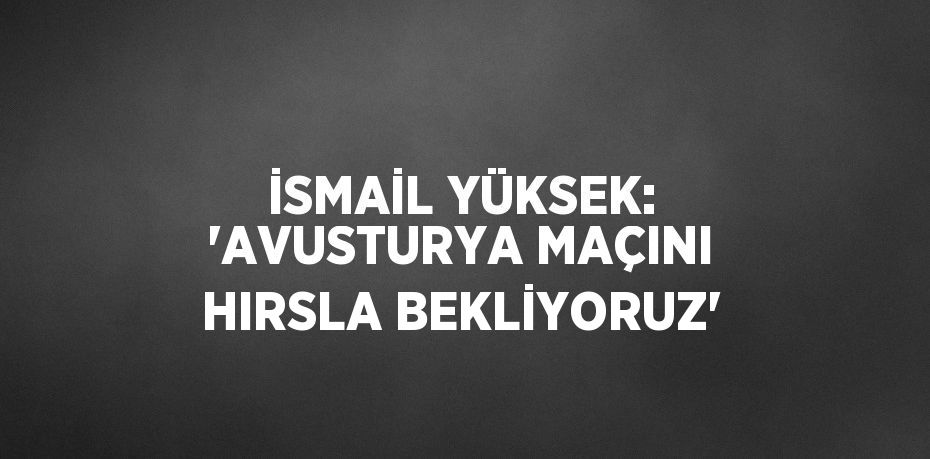 İSMAİL YÜKSEK: 'AVUSTURYA MAÇINI HIRSLA BEKLİYORUZ'