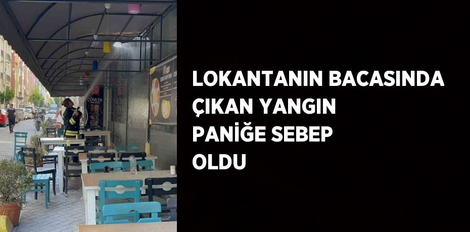 LOKANTANIN BACASINDA ÇIKAN YANGIN PANİĞE SEBEP OLDU