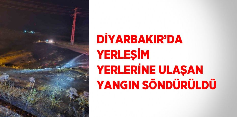 DİYARBAKIR’DA YERLEŞİM YERLERİNE ULAŞAN YANGIN SÖNDÜRÜLDÜ