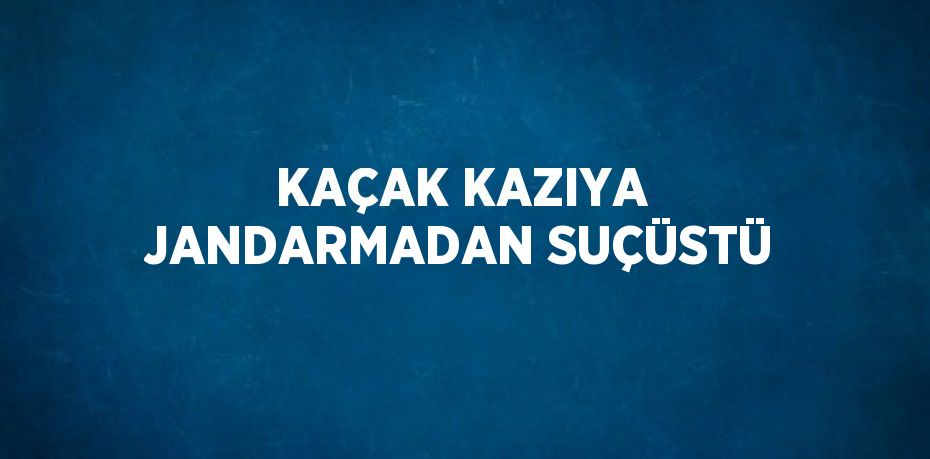 KAÇAK KAZIYA JANDARMADAN SUÇÜSTÜ