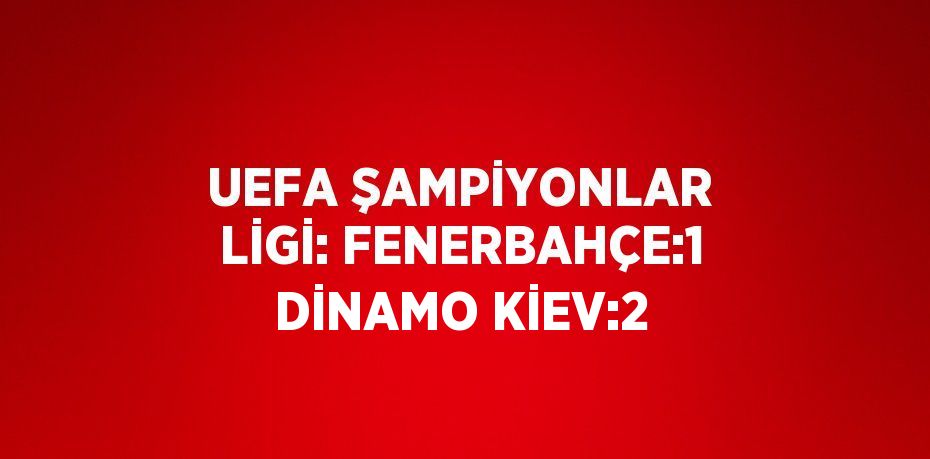 UEFA ŞAMPİYONLAR LİGİ: FENERBAHÇE:1 DİNAMO KİEV:2