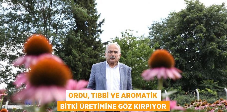 ORDU, TIBBİ VE AROMATİK BİTKİ ÜRETİMİNE GÖZ KIRPIYOR