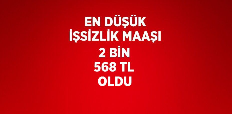 EN DÜŞÜK İŞSİZLİK MAAŞI 2 BİN 568 TL OLDU