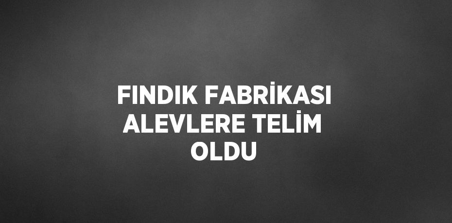 FINDIK FABRİKASI ALEVLERE TELİM OLDU