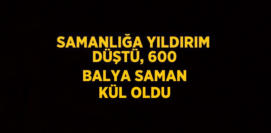 SAMANLIĞA YILDIRIM DÜŞTÜ, 600 BALYA SAMAN KÜL OLDU